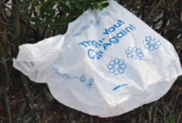 A plastic bag ban will take effect in a Westchester town beginning next month.