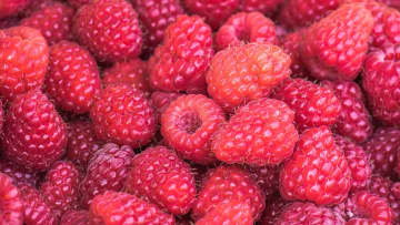 <p>Raspberries</p>
