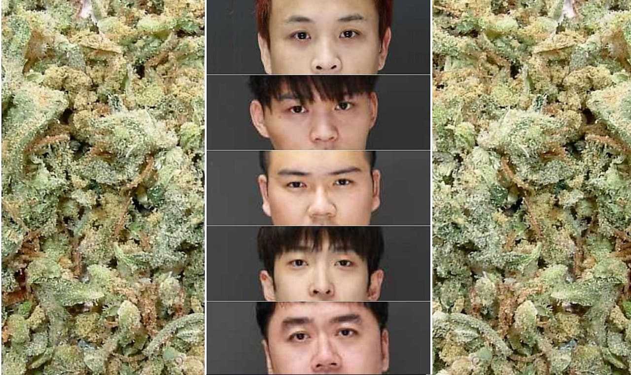 FROM TOP: Jingru Chen, Lifan Feng, Weiqi Wu, XingXiang Gao, Fenglei Fan