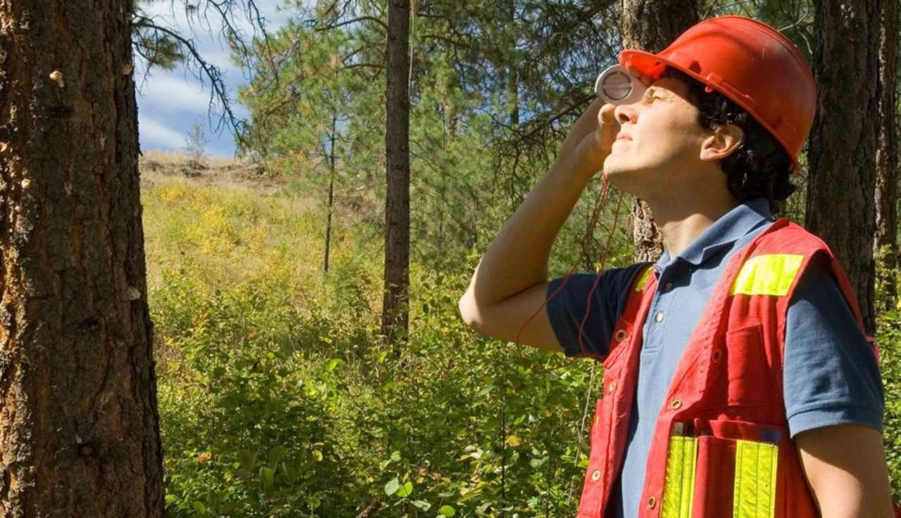 Tree health will be the topic of a Teaneck Creek Conservancy walk and talk, scheduled for Wednesday, Aug. 10, at 5 p.m.