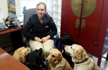 Employees’ dogs regularly drop in to visit Canine Company CEO Jennifer Hill in her Wilton office.