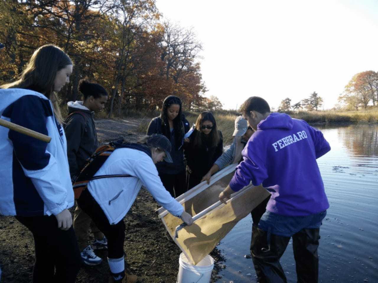 New Rochelle High School marine science students collected marine life during a Nov. 16 excursion to Pelham Bay Park.