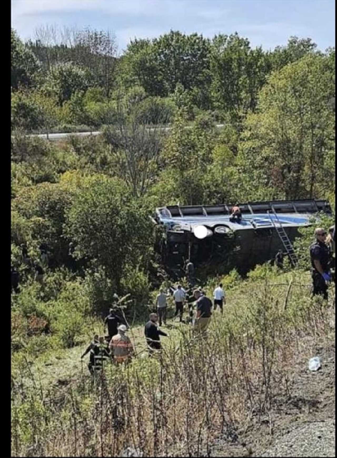 The crash site.