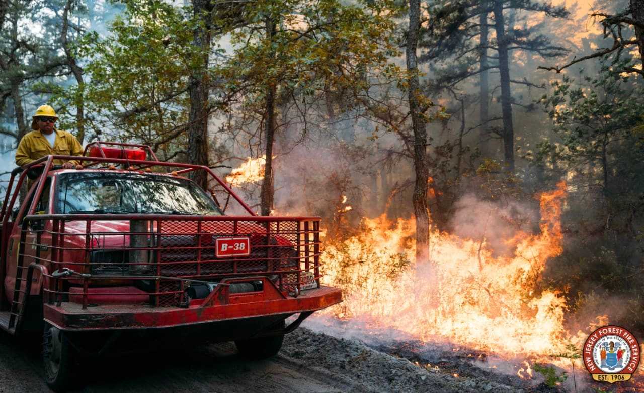 Wildfire at the Brendan T. Byrne State Forest.