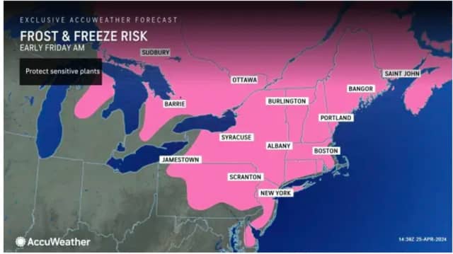 Temperatures will fall to at or below the freezing mark throughout much of the Northeast overnight, leading to damaging frosts and freezes that will pose a danger to plants.
  
