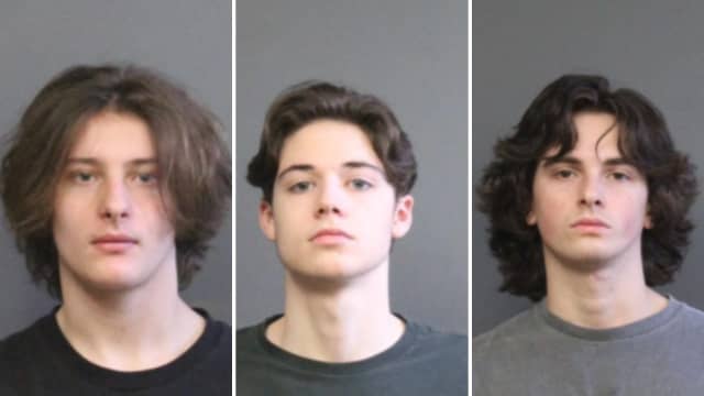 Jonathan Gosnell (left),&nbsp;Mackie Olynnger (middle), and&nbsp;Henry Grabowski were all charged in connection with the vandalism, police said.