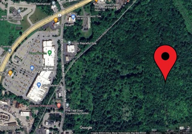 The proposed facility would be located at 24 Miller Rd. in Mahopac.